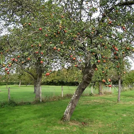 Holiday home Le Des Trois Vaches *
