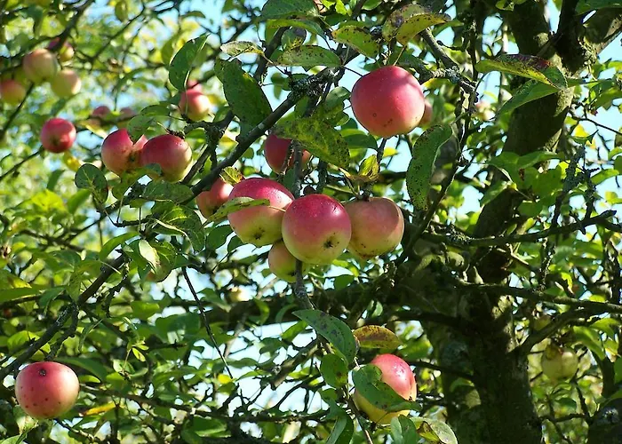 Le Des Trois Vaches Brionne