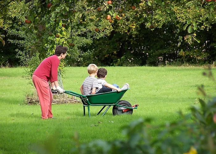 Vakantiehuis Le Des Trois Vaches *