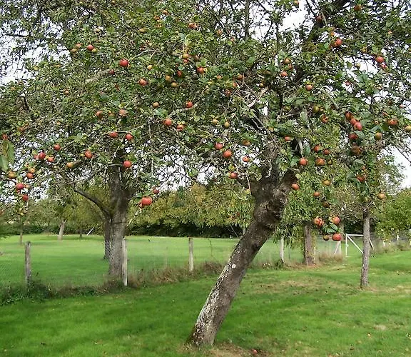 Vakantiehuis Le Des Trois Vaches *
