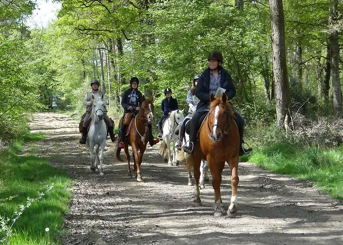 Le Des Trois Vaches * Brionne