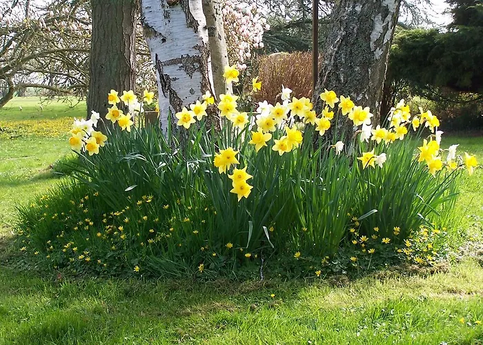 Le Des Trois Vaches Vakantiehuis Brionne